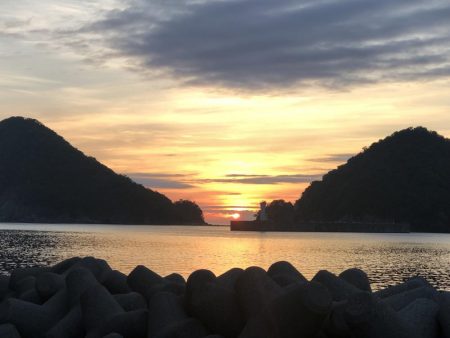 香住ふるさと祭りに帰省