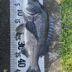 イチノ兄弟、釣果!