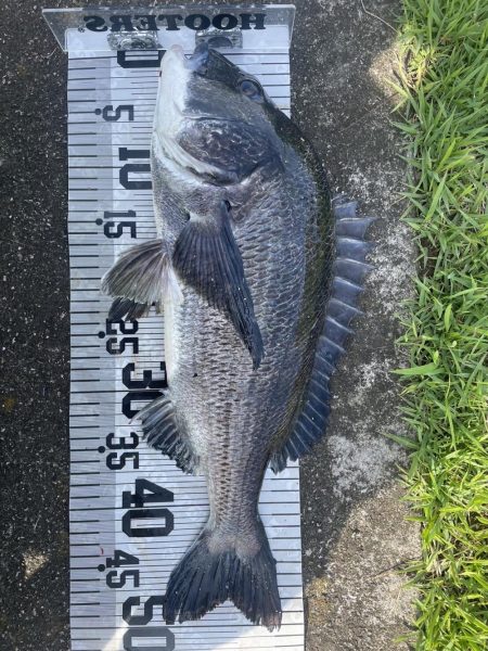 イチノ兄弟、釣果!