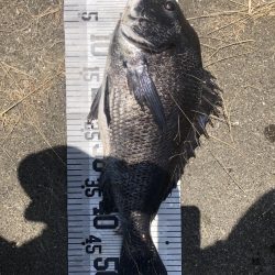 イチノ兄弟、釣果!