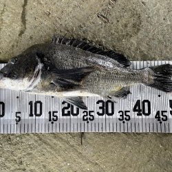 イチノ兄弟、釣果！