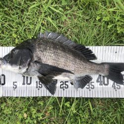 イチノ兄弟、釣果！