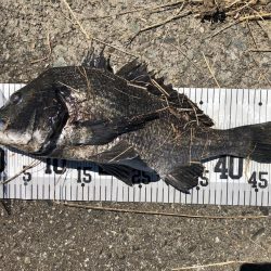 イチノ兄弟、釣果!