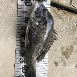 イチノ兄弟、釣果！