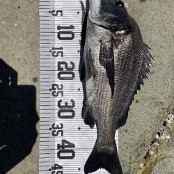 イチノ兄弟、釣果!