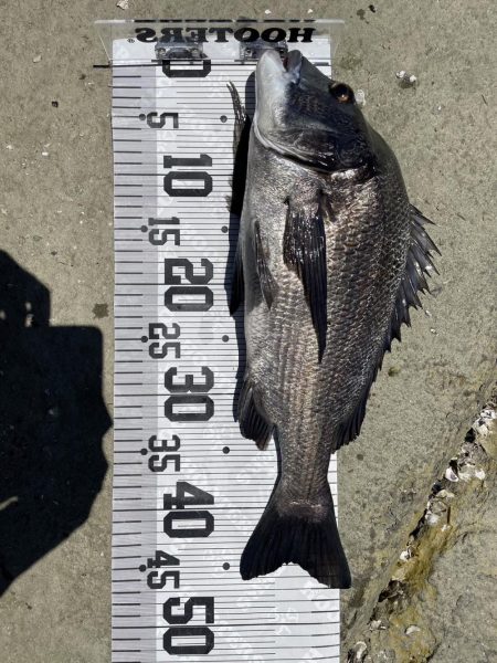 イチノ兄弟、釣果!