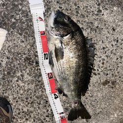 青流して自己記録！