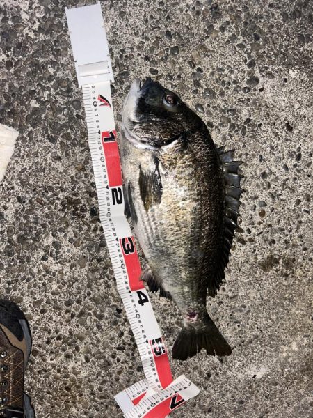 青流して自己記録！