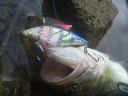 そよ風バス釣り