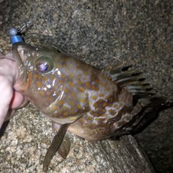 今シーズンワースト