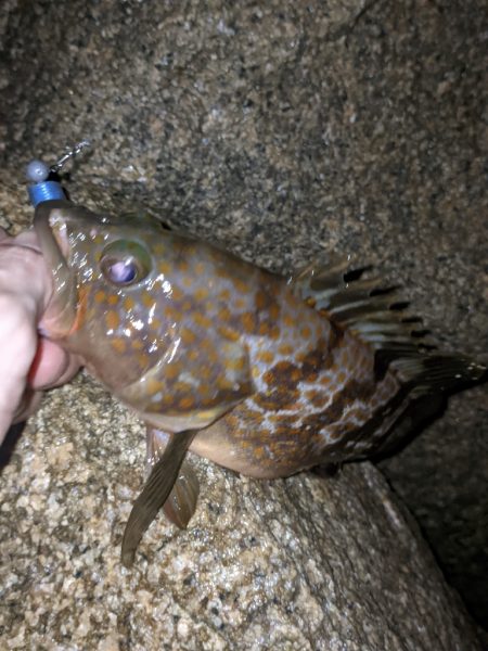 今シーズンワースト