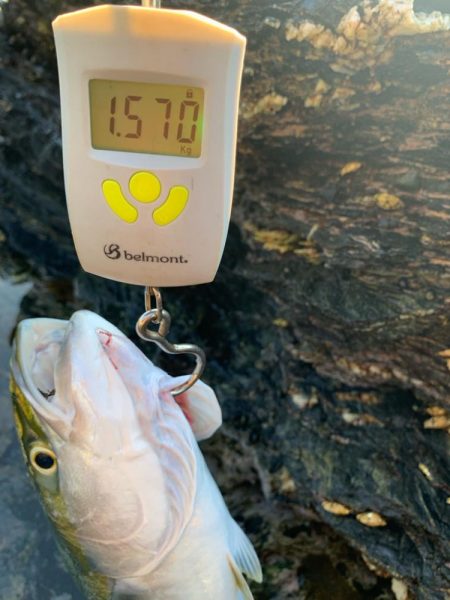 ショアジギング楽しい！