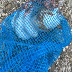 今季初タコ釣行渋め