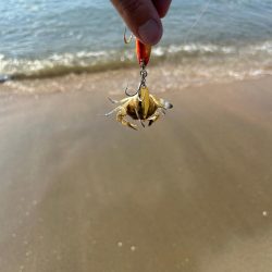 8耐後にこちらも耐久レース！