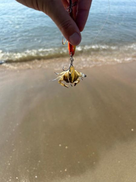 8耐後にこちらも耐久レース！