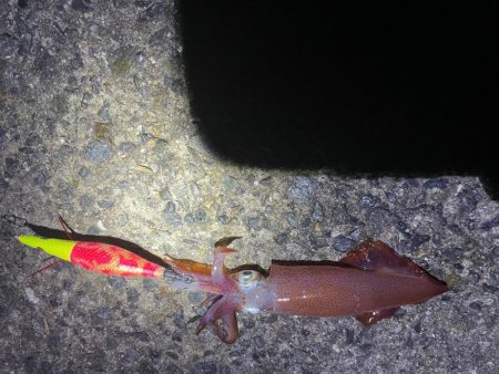 待ってました^_^