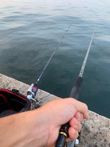 1年ぶりからの昨日ぶりのサビキ