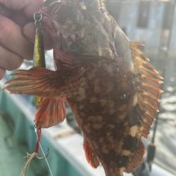 数は少ないですが4目達成！