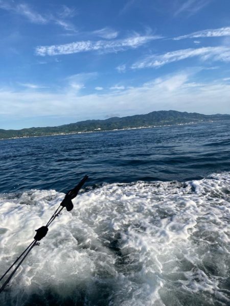 今年の夏ハマチはコンディション良さそう
