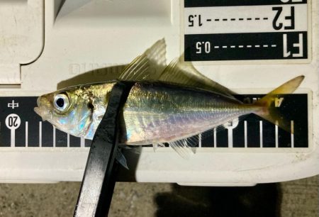 豆に入れ替わったか〜⁉&#x…