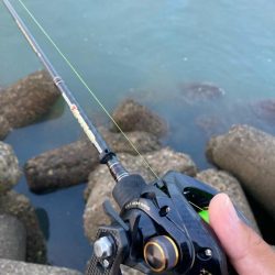 ⭐︎見切りどき