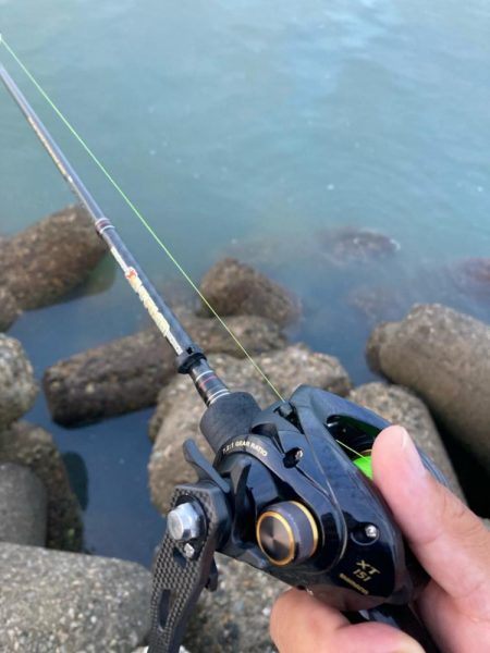 ⭐︎見切りどき