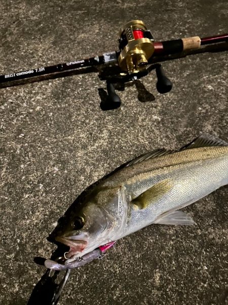 やっぱりボトムのネチりが正義！