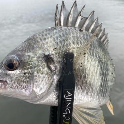 朝はどうだ⁉️