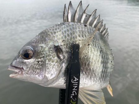 朝はどうだ⁉️…