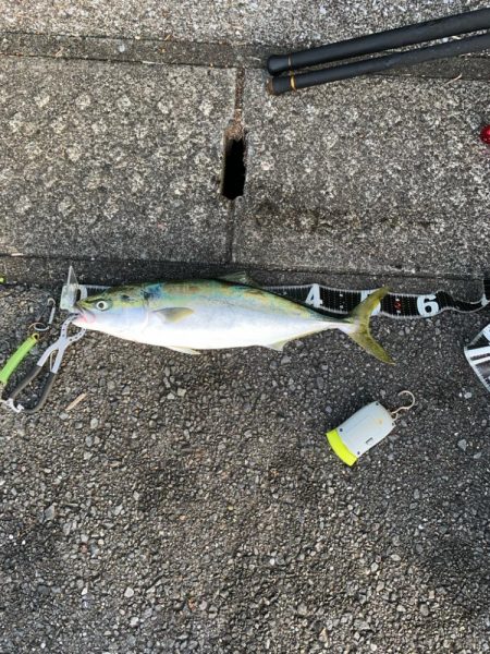 中潮･上げ潮･朝マズメ 相性抜群！