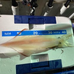 釣りの旅初日大剣狙い