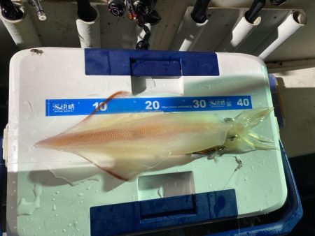 釣りの旅初日大剣狙い