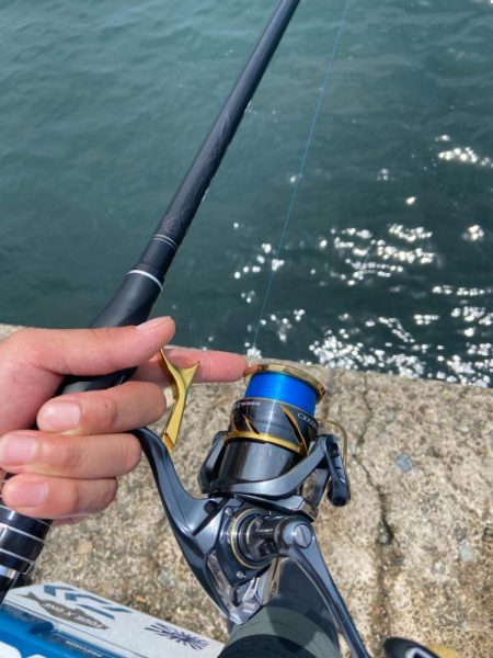 梅雨グレ終盤で波止釣り