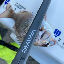 灼熱のキス釣り