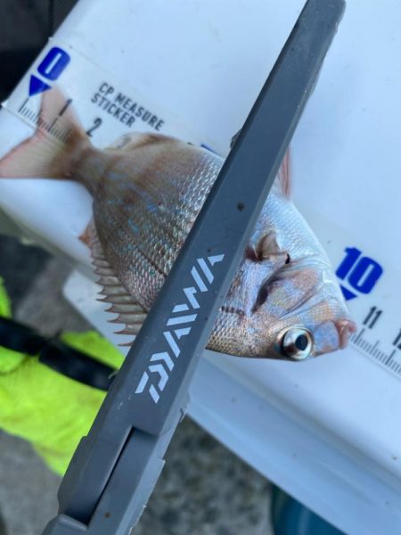 灼熱のキス釣り