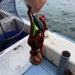 船タコいい感じ