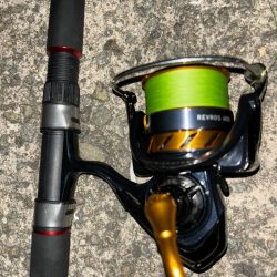 タコは気まぐれ 13