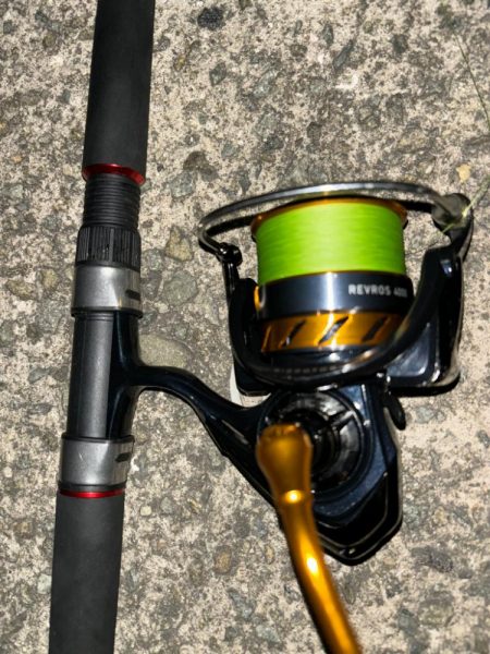 タコは気まぐれ 13