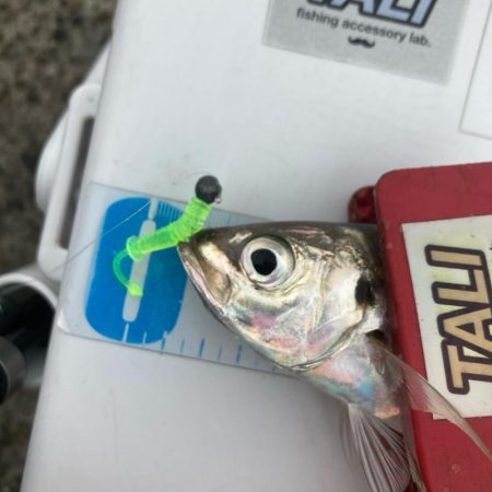 ディープアジング