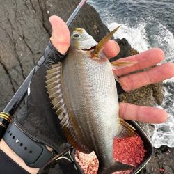 イサキ釣り