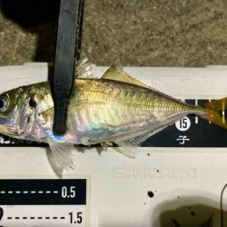 えッ! キスおった‼︎