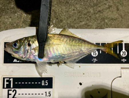 えッ! キスおった‼︎