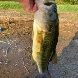 灼熱の琵琶湖で