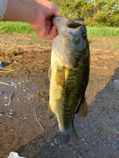 灼熱の琵琶湖で