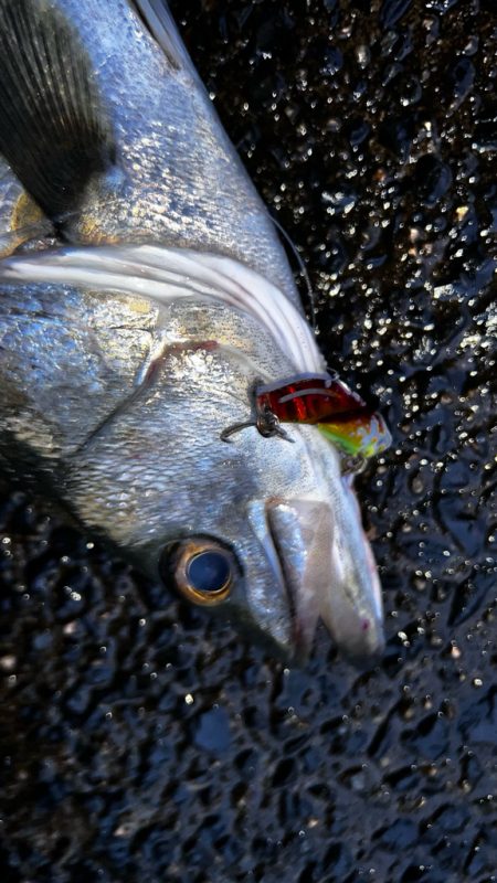 鉄板バイブが効きすぎる！