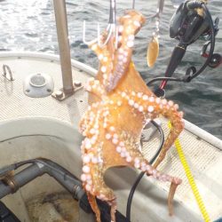 船タコ最終戦〜盛和丸〜