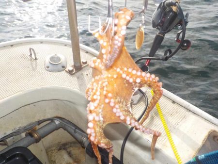 船タコ最終戦〜盛和丸〜