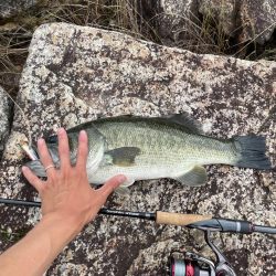 久しぶりのバス