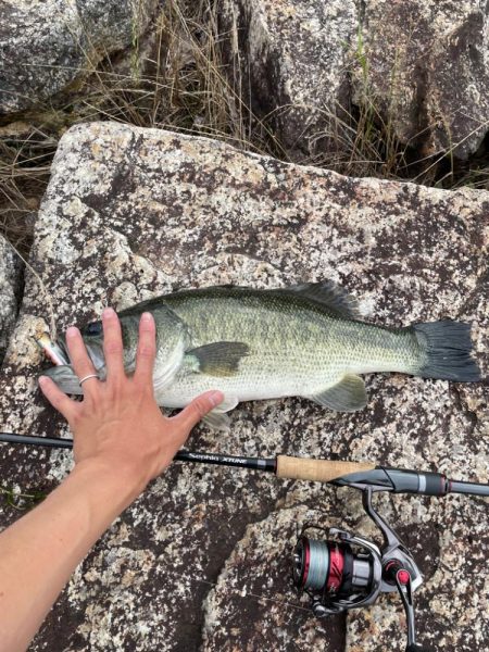 久しぶりのバス