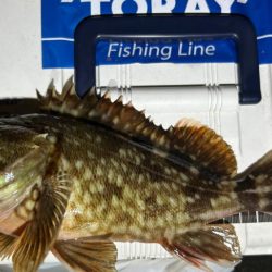 渋い時はライトワインド